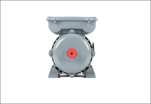 1 Fazlı Motor