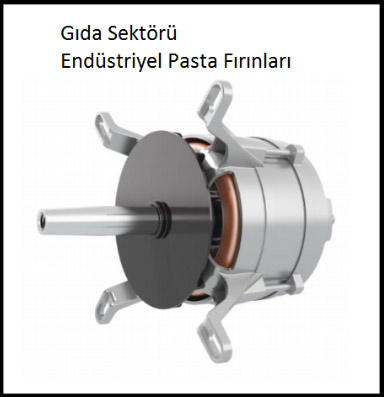 Özel Uygulama Motorları